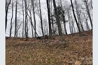 C-114 Spring Water Lane, Banner Elk, NC 28604 - Photo 3