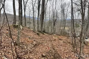 C-114 Spring Water Ln, Banner Elk, NC 28604 - Photo 1