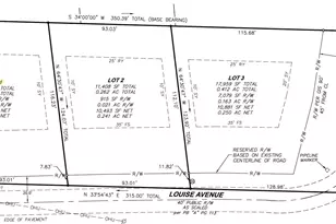 Lot 1 Louise Ave, Lincolnton, NC 28092 - Photo 1