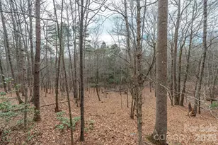 145 Flynn Ct, Lake Lure, NC 28746 - Photo 33