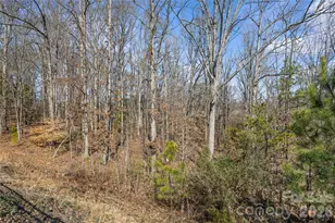 609 Cape Fear St, Fort Mill, SC 29715 - Photo 27