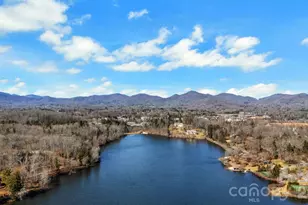 4 Hoolet Ct, Candler, NC 28715 - Photo 43