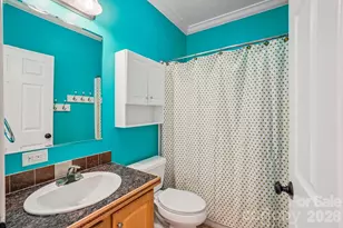 76 Cheraw Ln, Flat Rock, NC 28731 - Photo 19