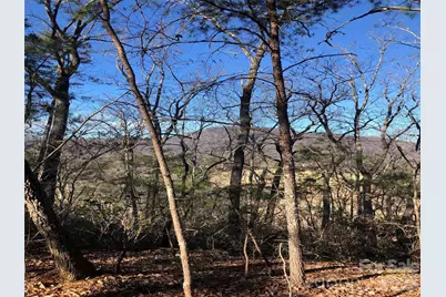 0 Buffalo Creek Road #Lot 35, Lake Lure, NC 28746 - Photo 3