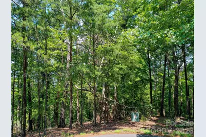 0 Buffalo Creek Road #Lot 35, Lake Lure, NC 28746 - Photo 15