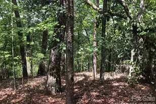 0 Buffalo Creek Rd, Lake Lure, NC 28746 - Photo 1