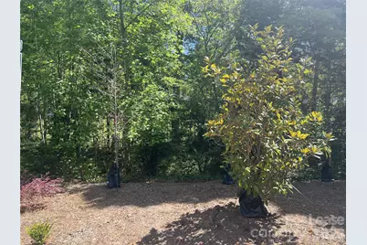 1356 Briar Creek Road, Charlotte, NC 28205 - Photo 15