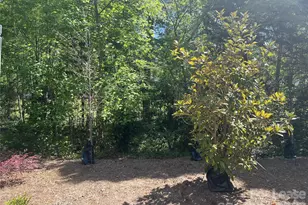 1356 Briar Creek Rd, Charlotte, NC 28205 - Photo 15