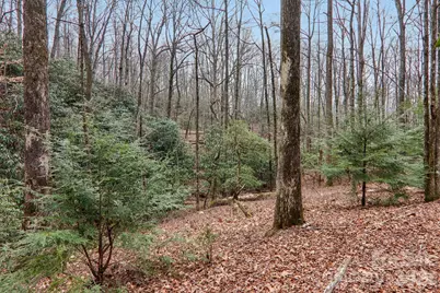 71 N Setsi Lane, Brevard, NC 28712 - Photo 35