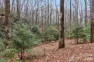 71 N Setsi Ln, Brevard, NC 28712 - Photo 35
