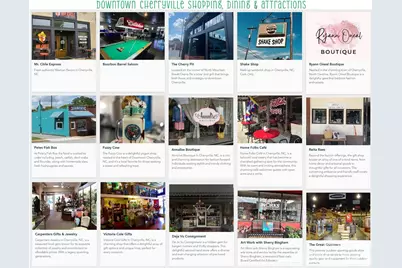 514 N Mulberry Street, Cherryville, NC 28021 - Photo 37