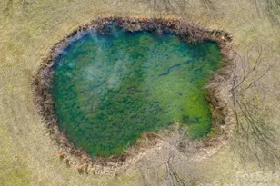 18 Hoye Ln, Candler, NC 28715 - Photo 7