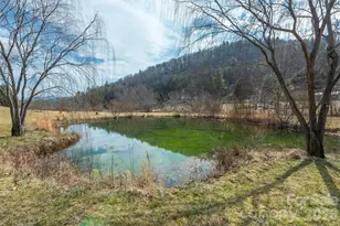 18 Hoye Ln, Candler, NC 28715 - Photo 39