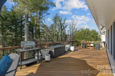 1223 Oakland Street, Hendersonville, NC 28792 - Photo 31