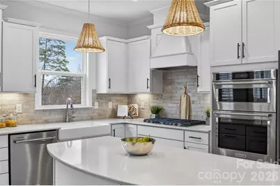 13832 Water Terrace Drive, Huntersville, NC 28078 - Photo 3