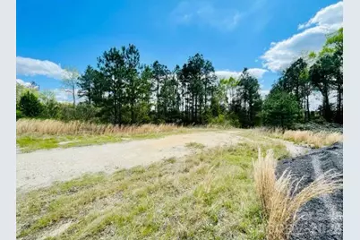 0000 Hwy 1 Bypass, Cheraw, SC 29520 - Photo 5