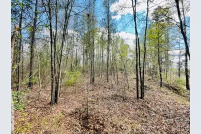 0000 Hwy 1 Bypass, Cheraw, SC 29520 - Photo 1