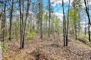 0000 Hwy 1 Bypass, Cheraw, SC 29520 - Photo 1