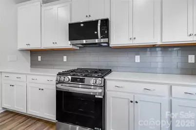 1116 Bandon Drive, Waxhaw, NC 28173 - Photo 9