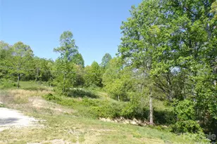 202 Honor Ln, Hendersonville, NC 28792 - Photo 13