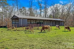 735 Macedonia Rd, Asheville, NC 28804 - Photo 5