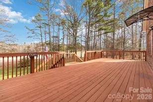 10929 Sycamore Club Dr, Mint Hill, NC 28227 - Photo 23