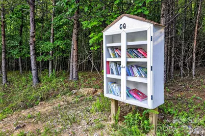 460 Cascades Parkway, Nebo, NC 28761 - Photo 45