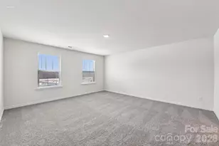 618 Dazzle Loop, Newton, NC 28658 - Photo 21