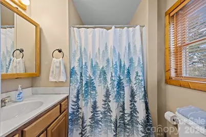 951 Pine Tree Road, Spruce Pine, NC 28777 - Photo 33