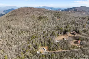 951 Pine Tree Rd, Spruce Pine, NC 28777 - Photo 45