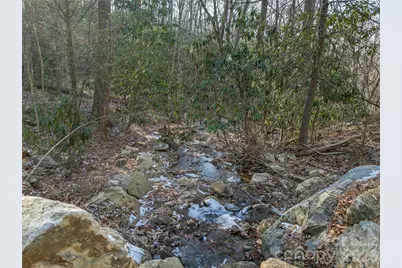 119 Wildflower Cove Drive, Swannanoa, NC 28778 - Photo 27