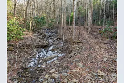 119 Wildflower Cove Drive, Swannanoa, NC 28778 - Photo 29