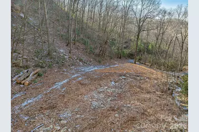 119 Wildflower Cove Drive, Swannanoa, NC 28778 - Photo 9