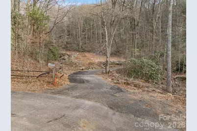 119 Wildflower Cove Drive, Swannanoa, NC 28778 - Photo 7