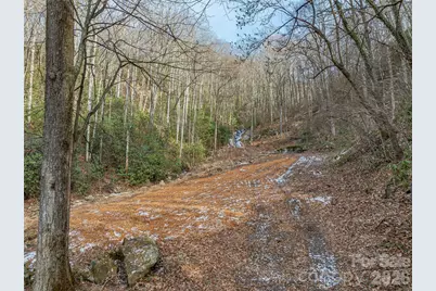 119 Wildflower Cove Drive, Swannanoa, NC 28778 - Photo 11