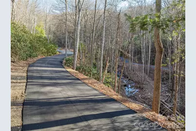 119 Wildflower Cove Drive, Swannanoa, NC 28778 - Photo 43