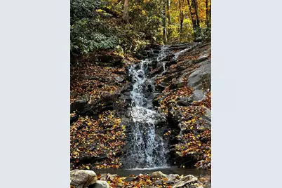 119 Wildflower Cove Drive, Swannanoa, NC 28778 - Photo 3