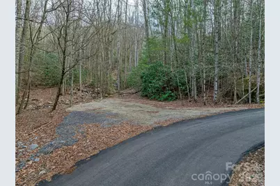 119 Wildflower Cove Drive, Swannanoa, NC 28778 - Photo 47
