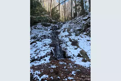 119 Wildflower Cove Drive, Swannanoa, NC 28778 - Photo 11