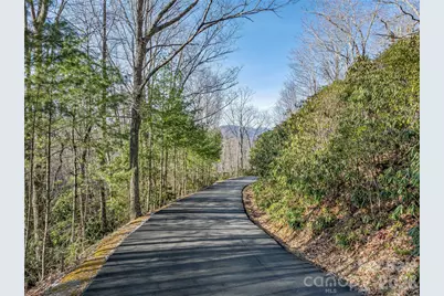 119 Wildflower Cove Drive, Swannanoa, NC 28778 - Photo 41