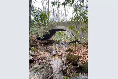 119 Wildflower Cove Drive, Swannanoa, NC 28778 - Photo 7