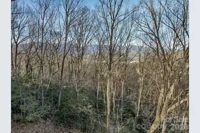 119 Wildflower Cove Drive, Swannanoa, NC 28778 - Photo 21