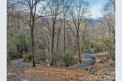 119 Wildflower Cove Drive, Swannanoa, NC 28778 - Photo 3