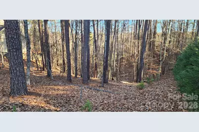 11176 Water Trace Drive, Fort Mill, SC 29708 - Photo 3