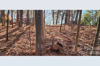 11176 Water Trace Drive, Fort Mill, SC 29708 - Photo 23