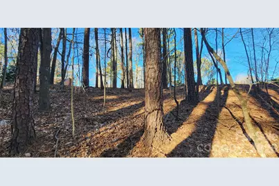 11176 Water Trace Drive, Fort Mill, SC 29708 - Photo 17