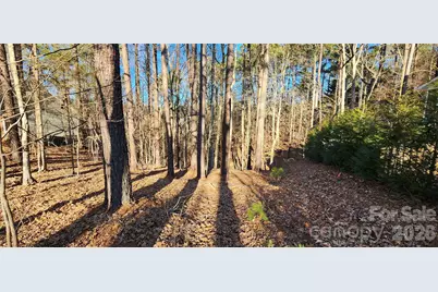 11176 Water Trace Drive, Fort Mill, SC 29708 - Photo 13