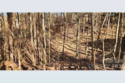 11176 Water Trace Drive, Fort Mill, SC 29708 - Photo 21