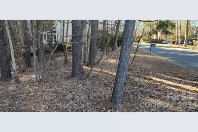 11176 Water Trace Drive, Fort Mill, SC 29708 - Photo 17