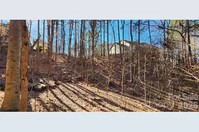 11176 Water Trace Drive, Fort Mill, SC 29708 - Photo 15